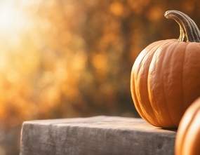 秋天阳光大南瓜摄影图片